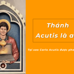 Thanh Acutis la ai