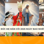 le duc me man coi ngay bao nhieu