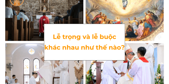 le trong va le buoc khac nhau nhu the nao