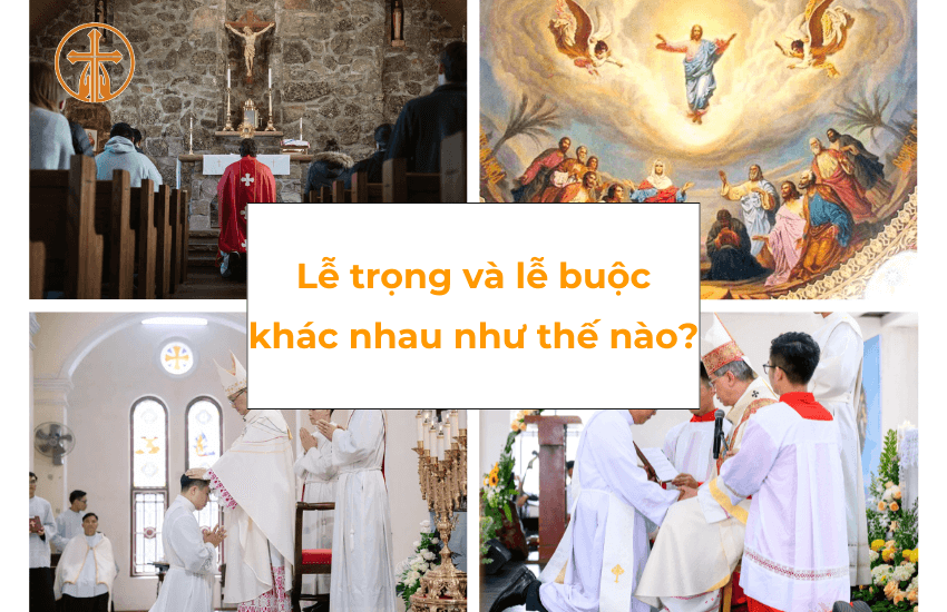 le trong va le buoc khac nhau nhu the nao