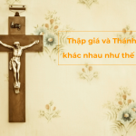 Thap gia va Thanh gia khac nhau nhu the nao