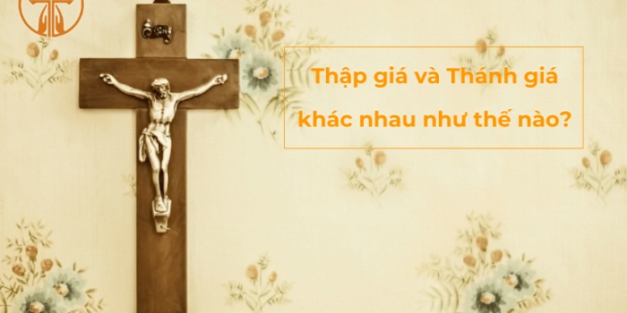 Thap gia va Thanh gia khac nhau nhu the nao