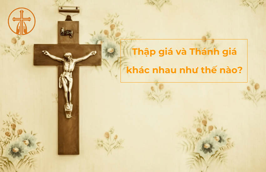 Thap gia va Thanh gia khac nhau nhu the nao