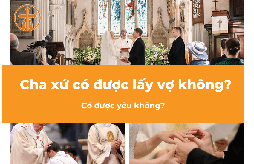 cha xu co duoc lay vo khong