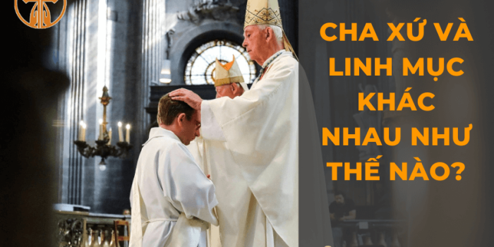 cha xu va linh muc khac nhau the nao