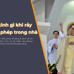 doc kinh gi khi ray nuoc phep trong nha