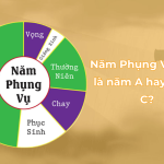 nam phung vu 2025 la nam A hay B hay C