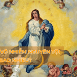 le duc me vo nhiem nguyen toi ngay bao nhieu