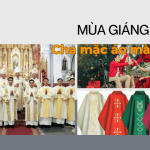 mua giang sinh cha mac ao mau gi