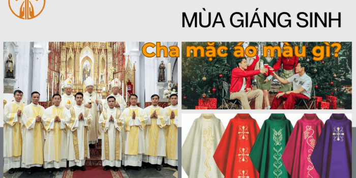 mua giang sinh cha mac ao mau gi