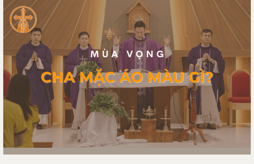 mua vong cha mac ao mau gi